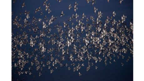 Divinity, freshness, and awe. This is the latest photo book and exhibition by Rinko Kawauchi, a photographer with an ever-increasing sense of wonder.