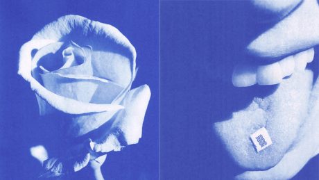 サタデーズ ニューヨーク シティが表現する、ティム・バーバーの鋭い青のカタチ。