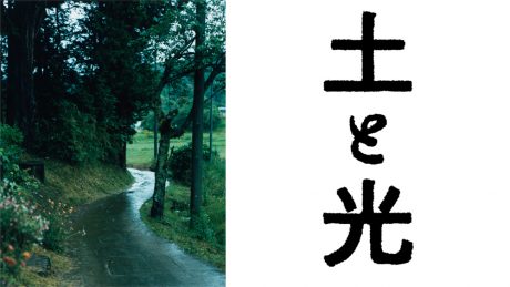 益子の日常と器を、写真と映像で紡ぐ展覧会「土と光」。