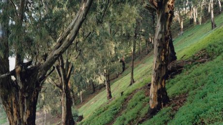 幽玄で壮大な写真の数々。独アーティスト、ステファン・シュナイダーの写真展が開催。