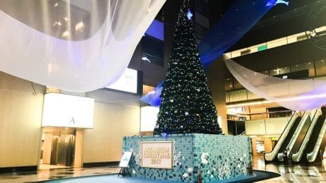 続々と街に現れるネオンの光。新宿にも素敵なイルミネーションがあるんです。