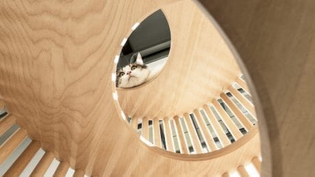 Modernism for cats and people. A beautiful cat tower will be available everywhere.