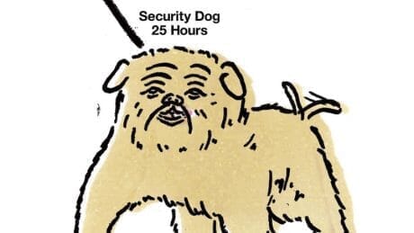 Dogs, cats, nonce! At Dice and Dice , a wonderfully fun portrait shop that meets expectations that do not disappoint.