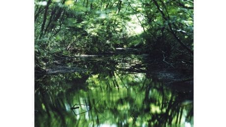 写真家の鈴木理策が写す、げに美しきこの世界。作品集『Water Mirror』が新たな形になって立ち上がります。