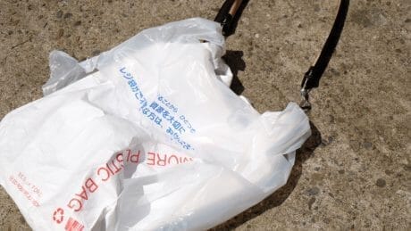 What is ecology? A special exhibition by Edrobert Judson Beta x BED j.w. FORD that asks the essence of this question.