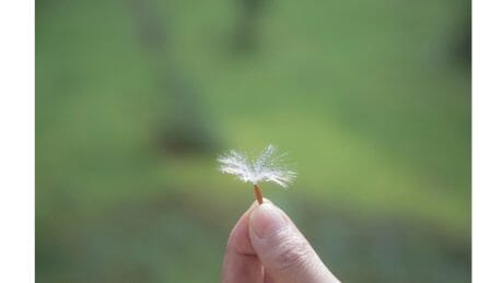 川内倫子の写真展が恵比寿POSTで開催。出産という経験がもたらす写真への影響は？