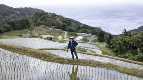 Between Clothing and Life. Snow Peak takes you on a journey of local clothing.