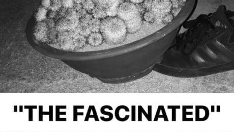 サボテンをフィーチャーしたポップアップショップが417 エディフィス 渋谷店で開催。