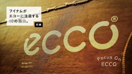 10 Reasons HOUYHNHNM's Focuses on Echoes. [Part 1