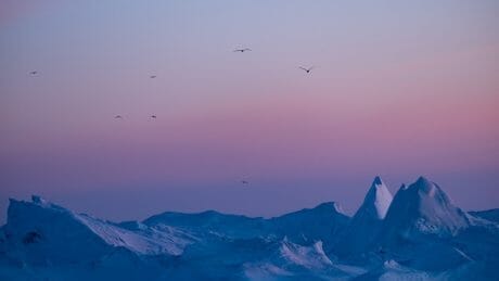 美しさのその先へ。遠藤励による北極地方のランドスケープと先住民を捉えた写真展が六本木で開催。