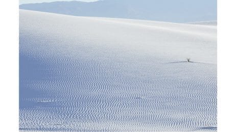 白と青の美景。ニューメキシコのホワイトサンズをミニマルに切り取った、Yoshihiro Makinoの新作です。