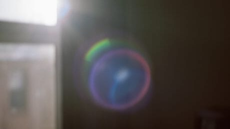 東京・原宿のoffshoreでトヤマタクロウの写真展が開催。