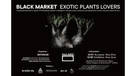 人気作家の鉢が大集合。ボタナイズが仕掛ける1日限りのプランツイベント、BLACK MARKETの内容が濃過ぎます。