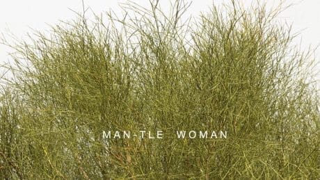 The famous store Reshop has spotted a garment mantle that gently accompanies the wearer.