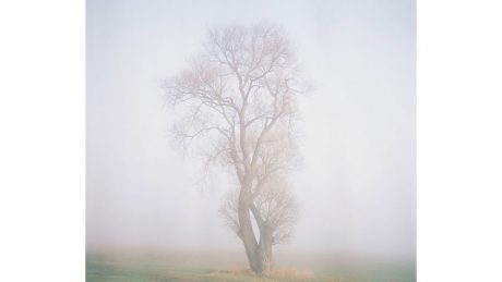 アンネ・シュバルベの個展が6年ぶりに開催。写真だけではなく映像と器もあり。