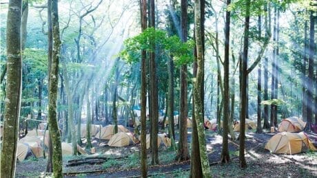 A luxurious event where you can enjoy art and camping at the same time will be held at the Pola Museum of Art in Hakone.