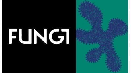 盛り上げる鍵は演出力と組み合わせ。富山の「FUNGI」に注目。