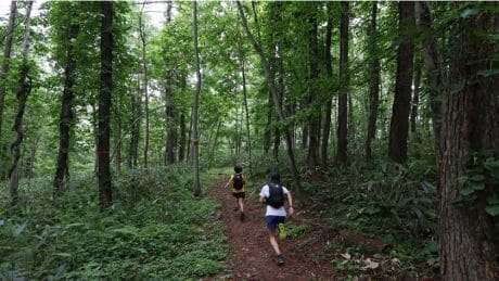 Trails supervised by Salomon open in Hokkaido. Even beginners can enjoy the summer mountains to the fullest.