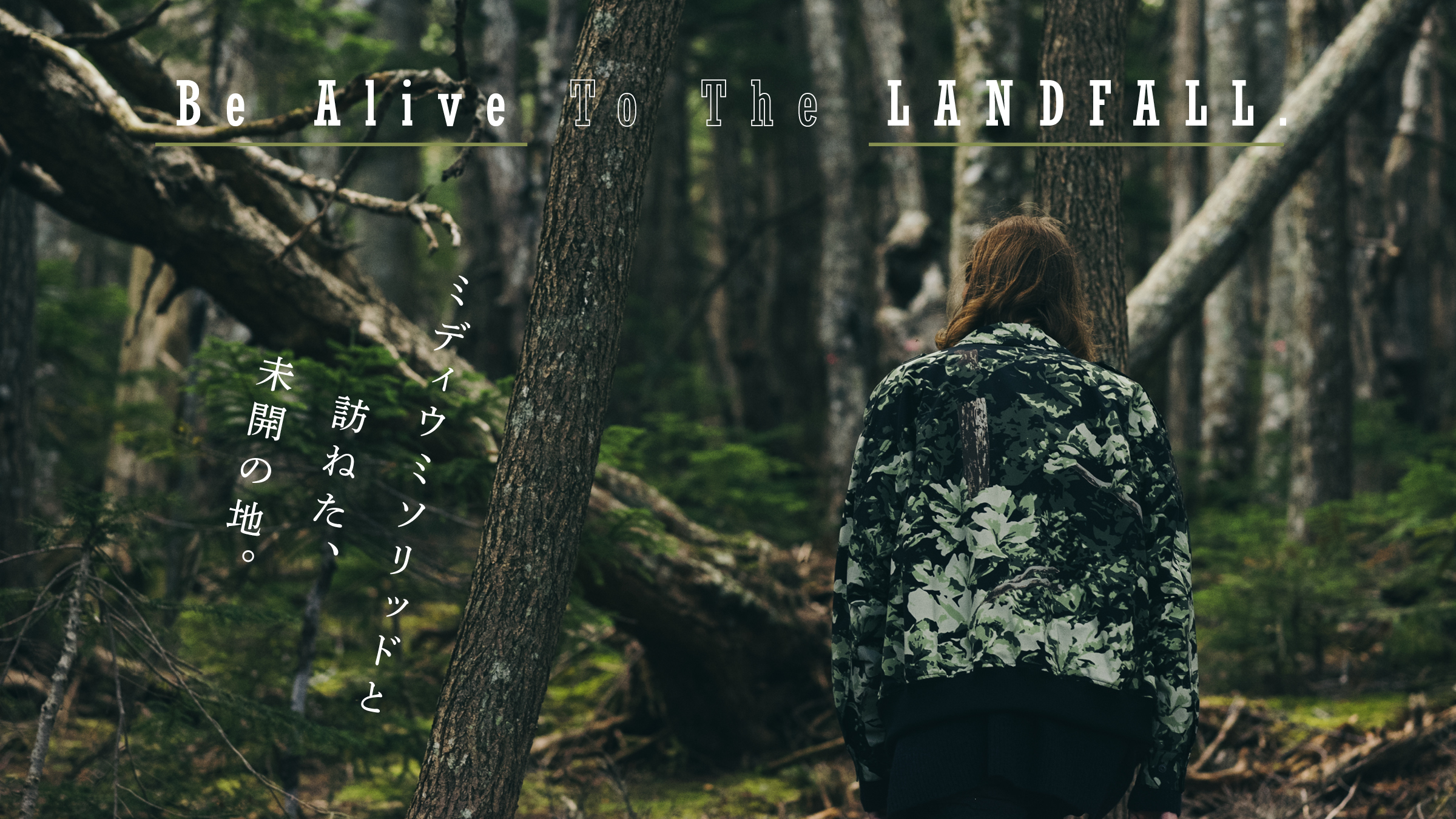 The undeveloped land that I visited with Midiumi Solid.