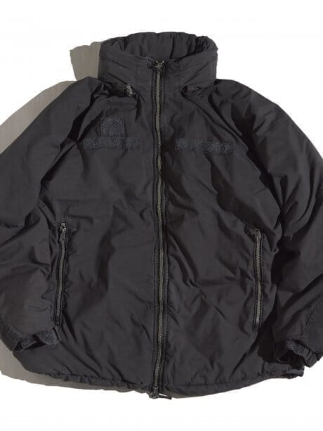 . without thinking too hard about this black PrimaLoft .