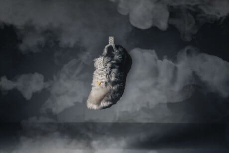 ねずみをモチーフにしたスニーカー！？ アグの愉快な挑戦は続きます。