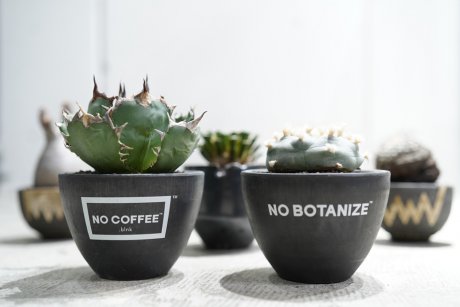 ボタナイズが次に手を組むのは、福岡のヒップなコーヒーショップ・ノーコーヒー。今回も気になるアイテム盛り沢山です。