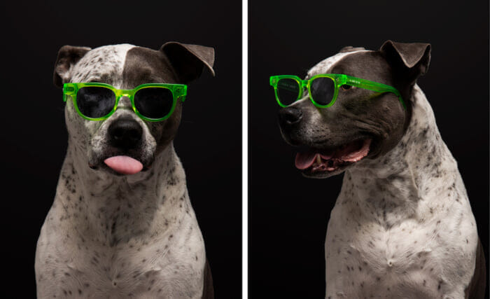 HUFとAKILAがコラボレーションを発表。モダンなサングラスを数量限定でリリースします。