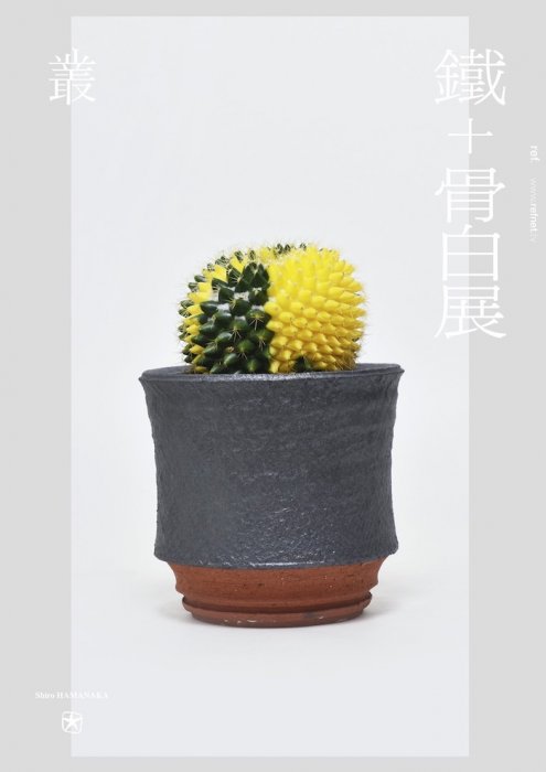 多肉植物と器が織りなす、いなせな一品。叢と大屋窯のふたりによる展示が広島のref.で行われます。