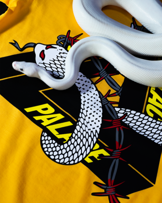 This summer's big deal. Snakes and barbed wire intertwine with Tri-Ferg in the Limited T from Palace Skateboards!
