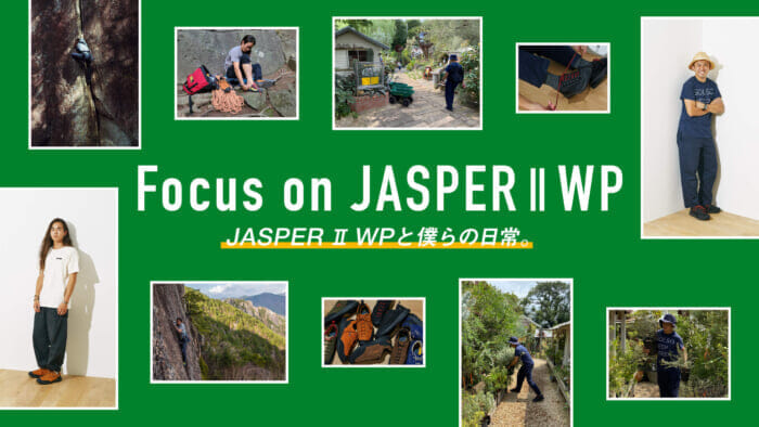 JASPER II WP and our daily life.