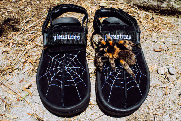 生命サイクルの象徴“蜘蛛の巣”が張り巡らされた、リーボックのビートニック。プレジャーズの仕業です。