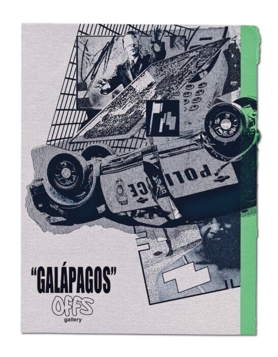 Three up-and-coming creators sound a warning to contemporary society! The offshore exhibition GALÁPAGOS is worth a visit.