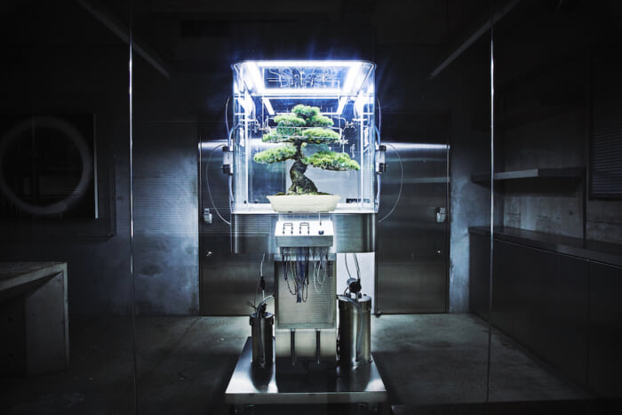 AMKK, a creative group of flowers and plants, will hold an exhibition. Don't miss the installation that will give you a taste of the extraordinary.