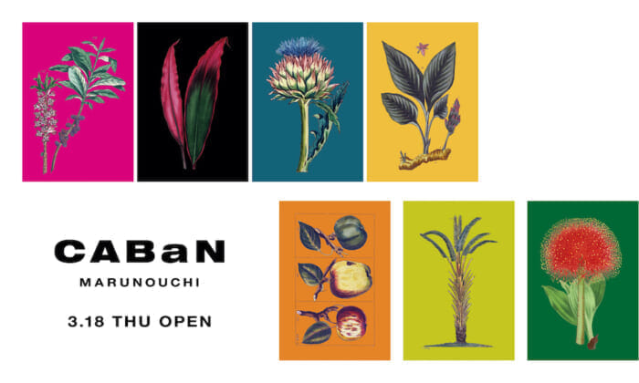 Newly opened concept store where Cavan's philosophy comes through. The long-awaited spring may be found in Marunouchi.