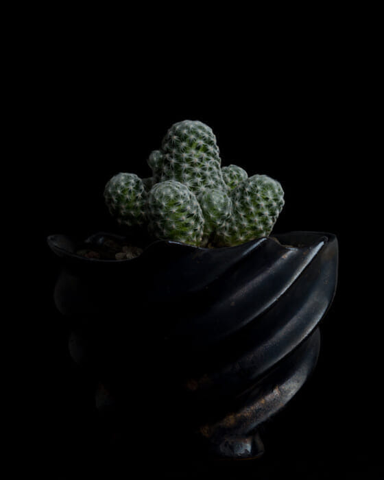 無重力をカタチにしたP&A セラミックウェアの展示即売会。大阪のI SEE ALLで開催中です。