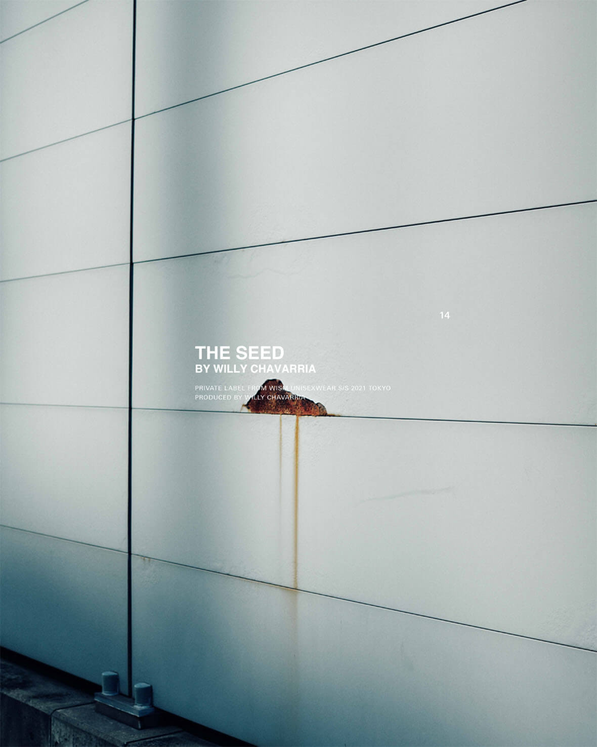 A soulful correspondence between Wism Ryu Horike and Willy