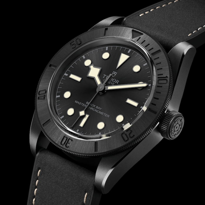 TUDOR's latest technology wristwatch. The Black Bay, a masterpiece of Tudor, has been further evolved.