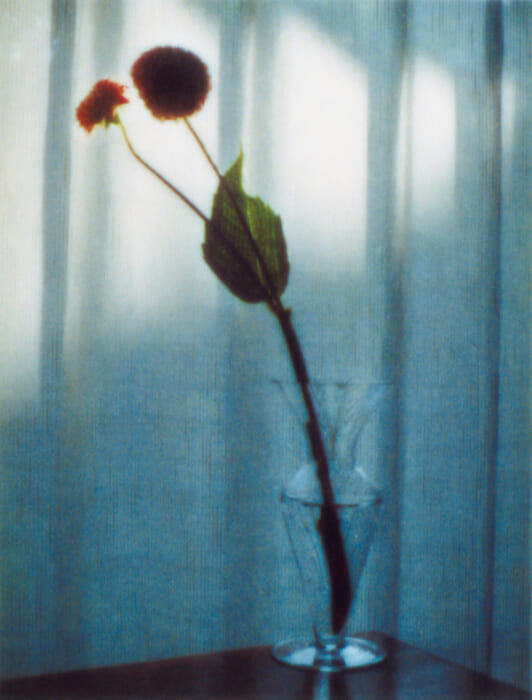 Yoshiyuki Okuyama's latest work, FLOWERS, leaves something big in the hearts of those who see it. A masterpiece.