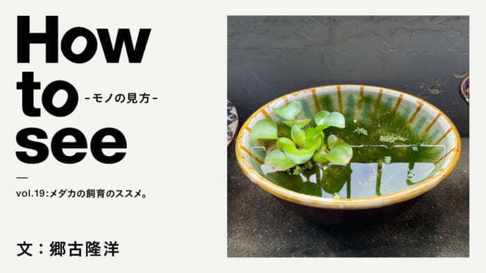 How to see - the way things are - vol.19 Recommendations for keeping killifish. Text: Takahiro Goko