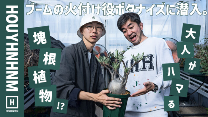 ボタナイズとメディコム・トイが共作した、植欲そそるアートな