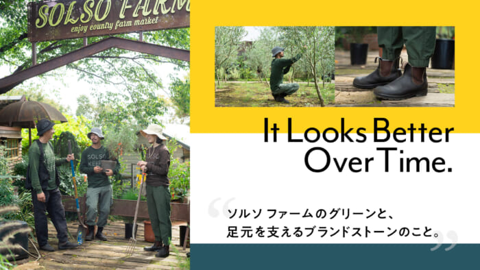 The green of Solso Farm and the branded stones that support the feet.