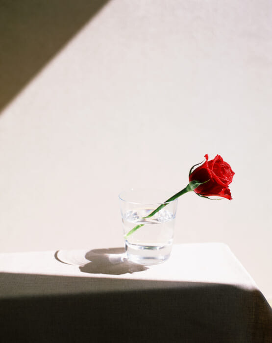 花を、写真を、愛でよう。写真家松本直也とスタイリスト林道雄による“飾る写真”とは。