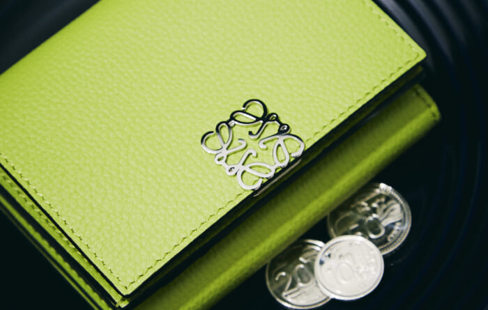 Serialized "The Best of the Best" No.236 Loewe's small leather goods that are easy on the eyes and the pocketbook.