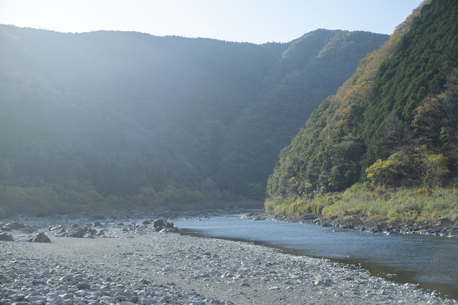四万十川流域のヒノキが家具に！？ 豊かな自然と日本の文化の