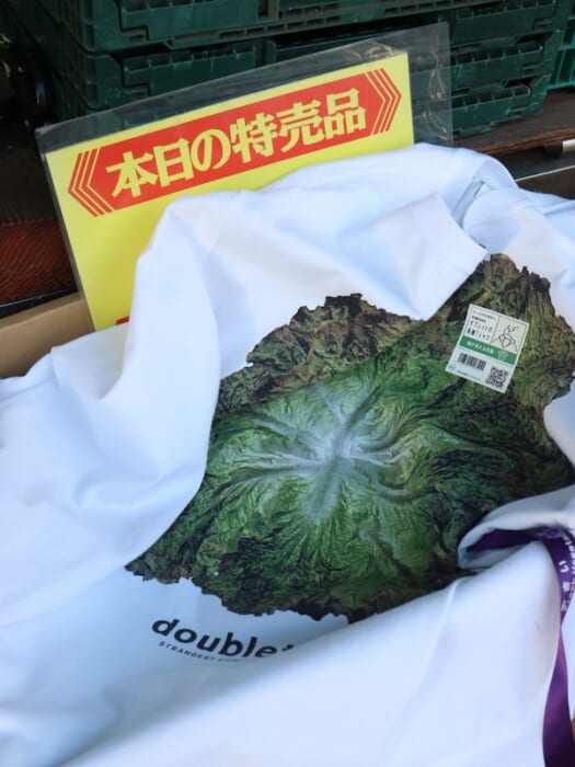 ポップの意味を毎回更新していく、ダブレットとウィズムのお騒がせコンビ。今回は野菜でサニーレタスでベジT！？