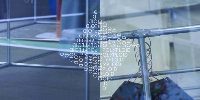 一元的かつ多面的に広がっていくポリプロイドの服。蔵前のポップアップストアで全貌を掴んでください。