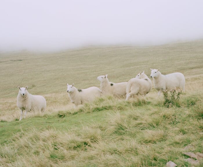 歩くひとのための服をつくるカレドアー。デビューを記念して、Piczo、Sophie Isogaiら5名の写真家による写真展を開催します。