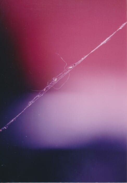 Chikashi Suzuki's photo exhibition "Body (Tai) and Use (Yu)" will be held at flotsam books in Daitabashi starting April 15.