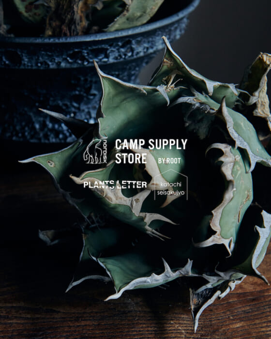 植物の持つ個体差に魅了されます。プランツレターがノルディスク キャンプ サプライ 世田谷でポップアップ開催です。