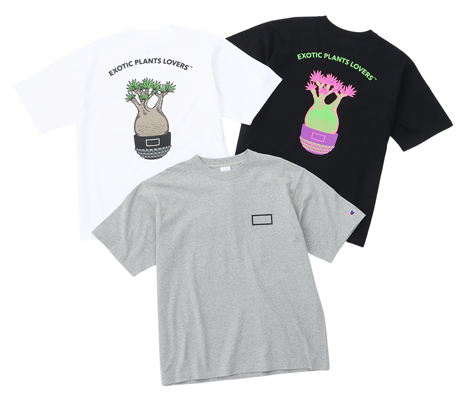 チャンピオン × ボタナイズ、塊根植物ファンに贈る2型のTシャツが 